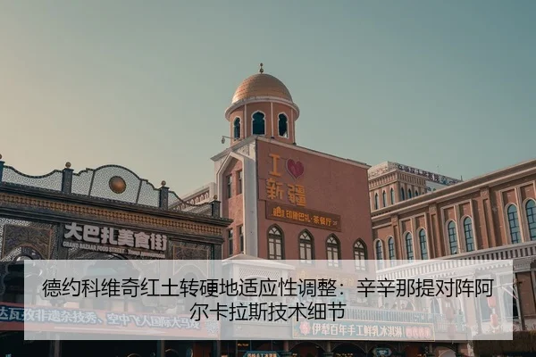 de-yue-ke-wei-qi-hong-tu-zhuan-ying-di-shi-ying-xing-tiao-zheng-xin-xin-na-ti-dui-zhen-a-er-ka-la-si-ji-shu-xi-jie-3-138.jpg